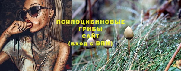 МДМА Бородино